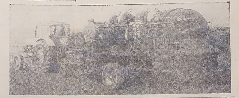 Картофелеуборочный комбайн на полях Шиловского совхоза