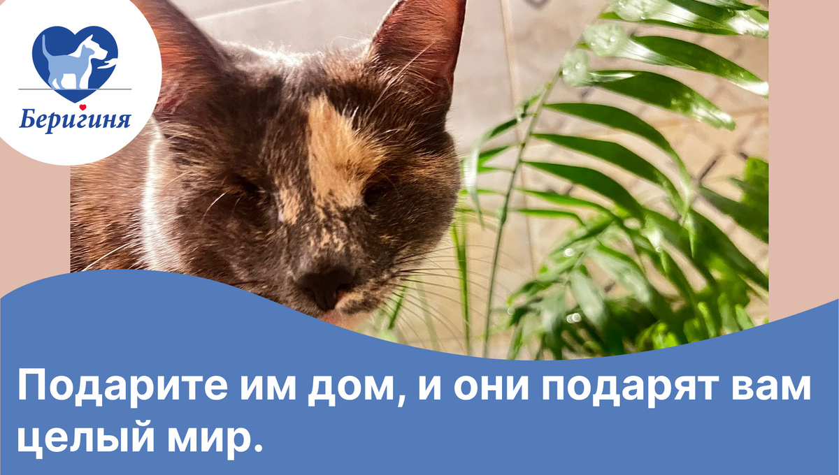 #выпускники_беригини_Ая