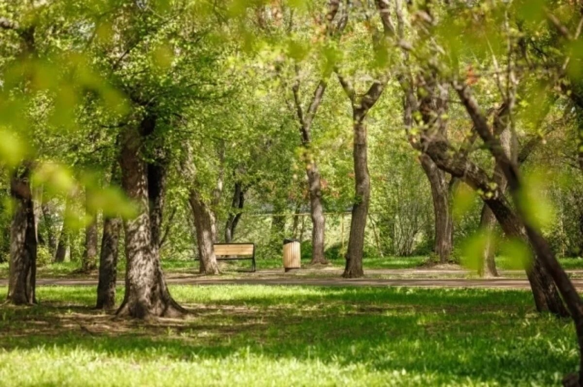    Площадь зелёного фонда в Екатеринбурге увеличат до 208 гектаров