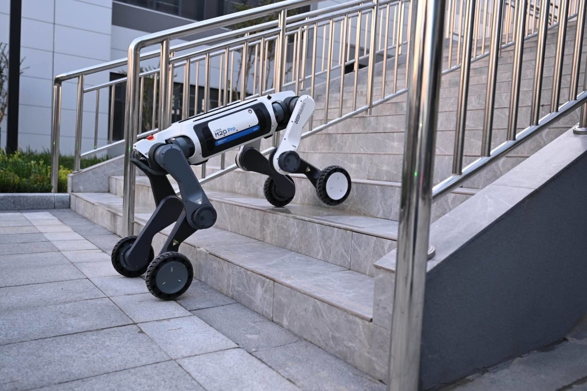   предоставлено пресс-службой раиса Татарстана