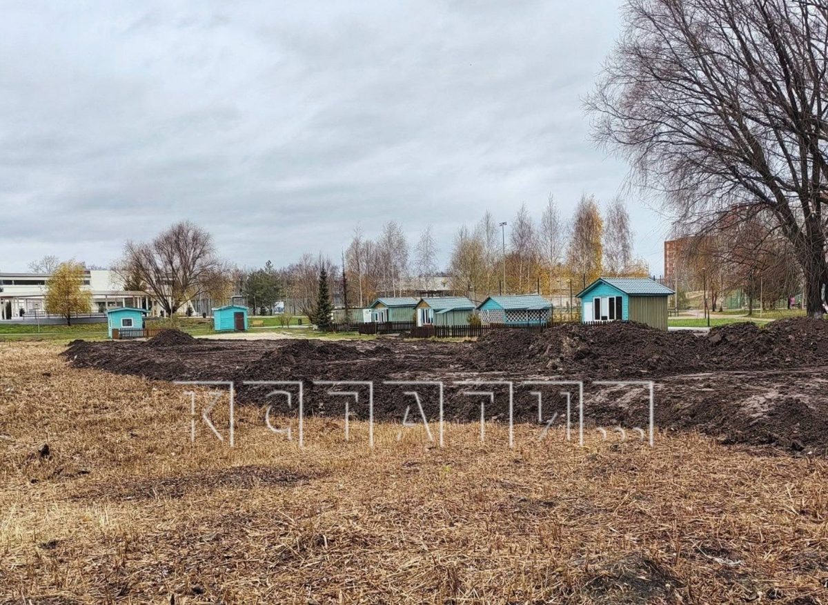    В соцсетях нижегородцы пожаловались на то, что в парке начали завозить землю и якобы ей заваливать берег озера