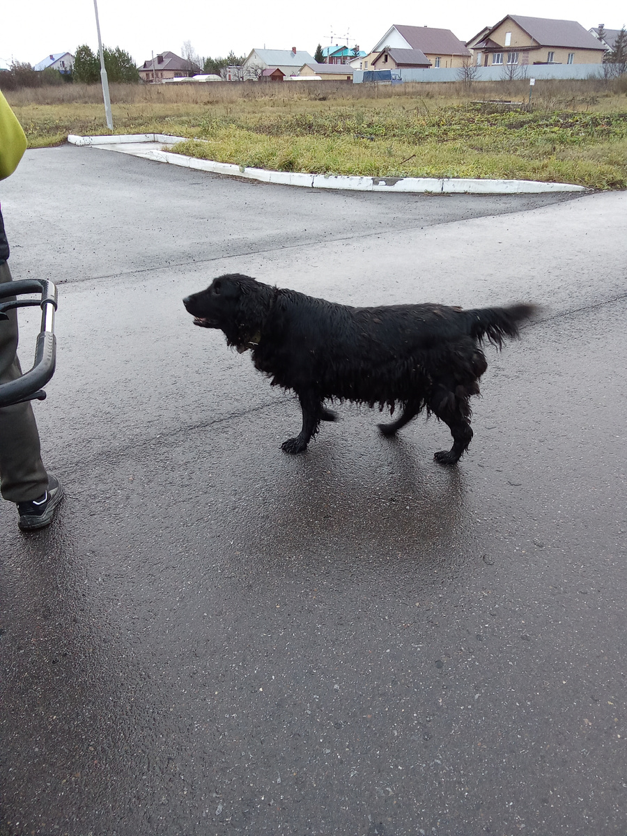 Касе лишь бы куда-то идти. 