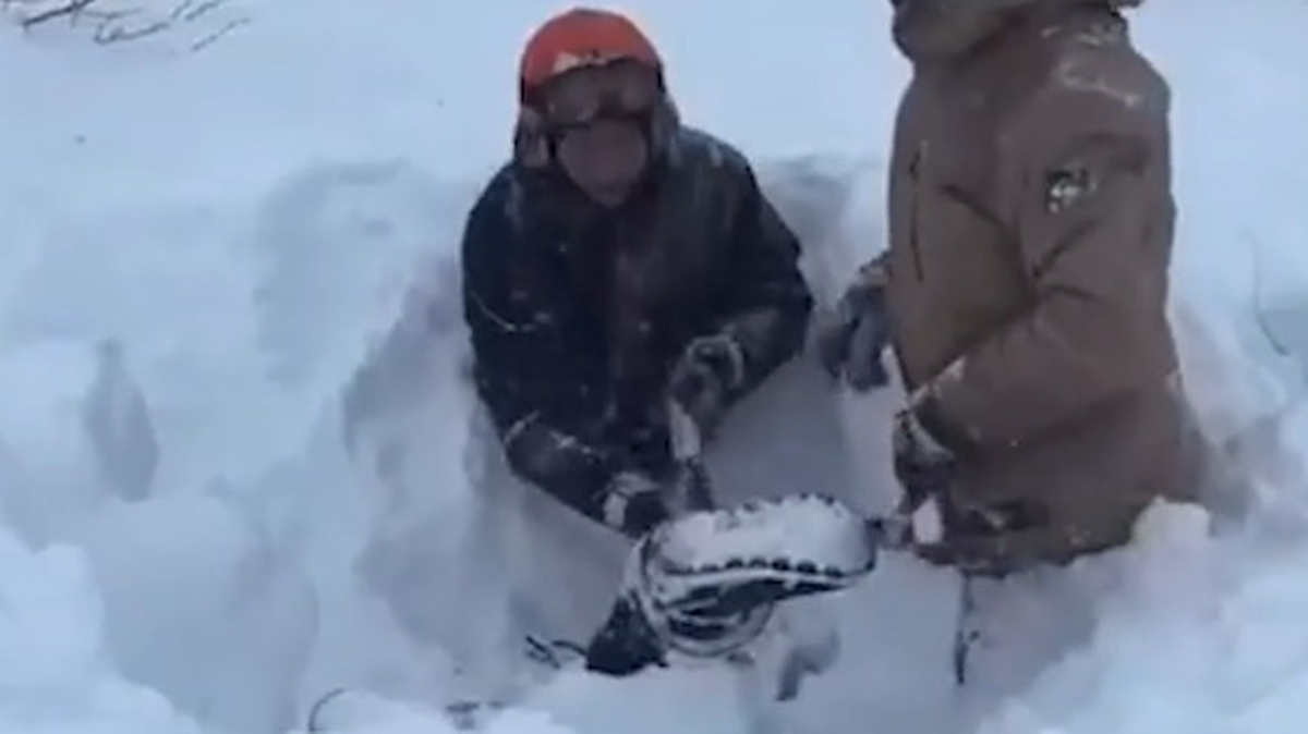    Фото: Скриншот с видео / РЕН ТВ. Новости / Telegram