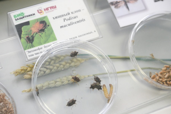 Фото: РИА Новости/Александр Кряжев