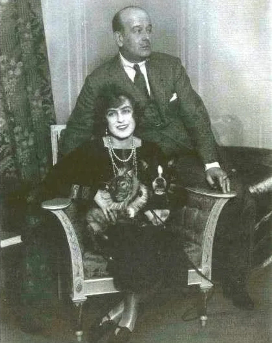 Из открытых источников