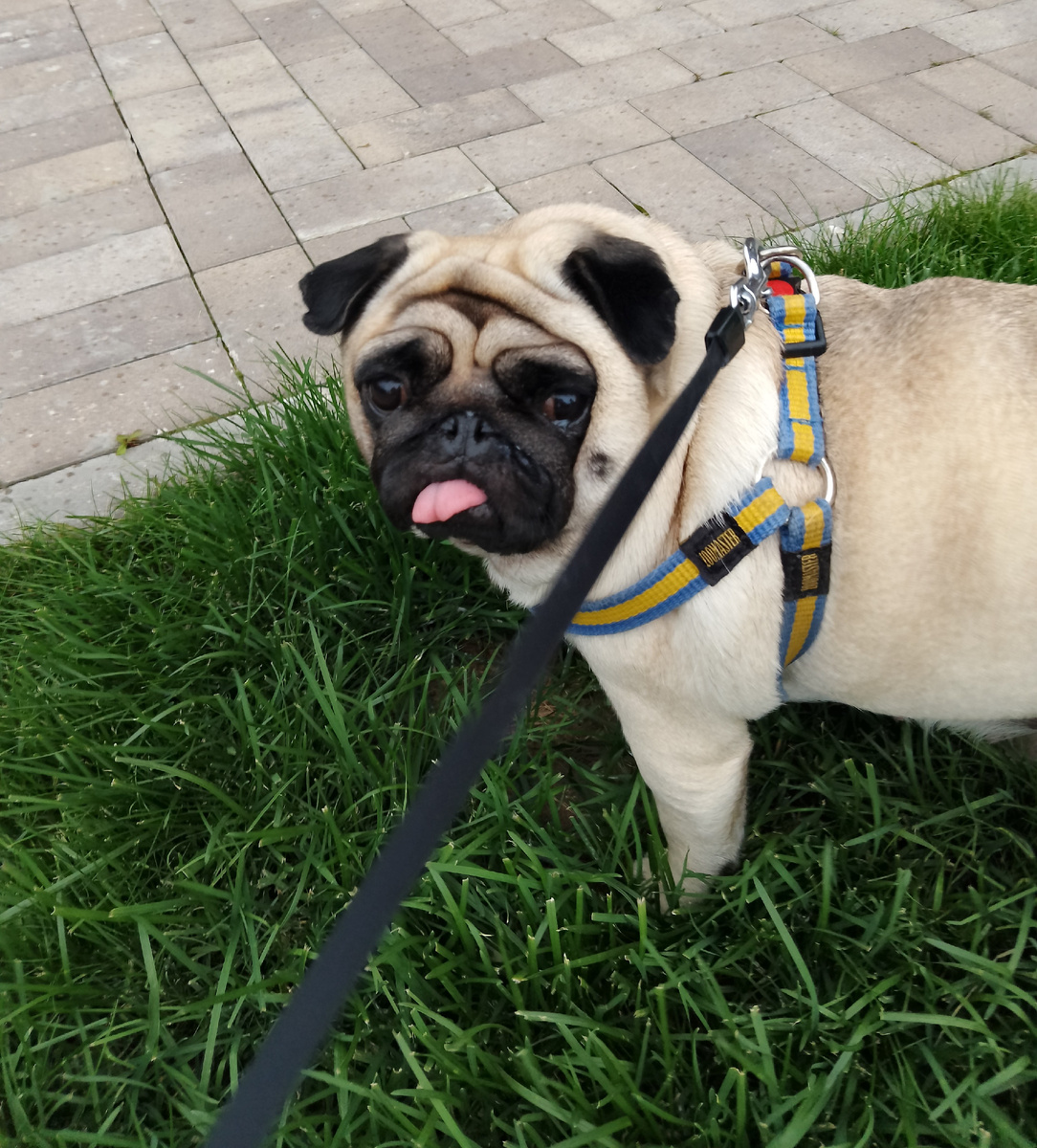 Дразнится, что ли? 