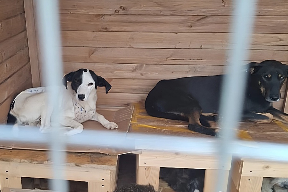    Из архива Любови Шумной