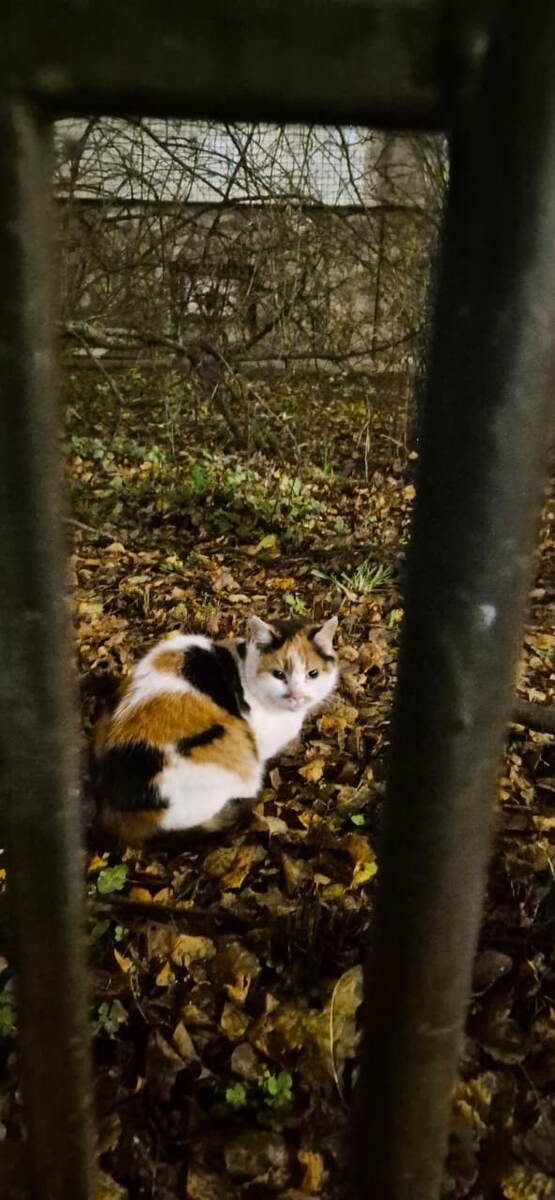 Вчера вернулась