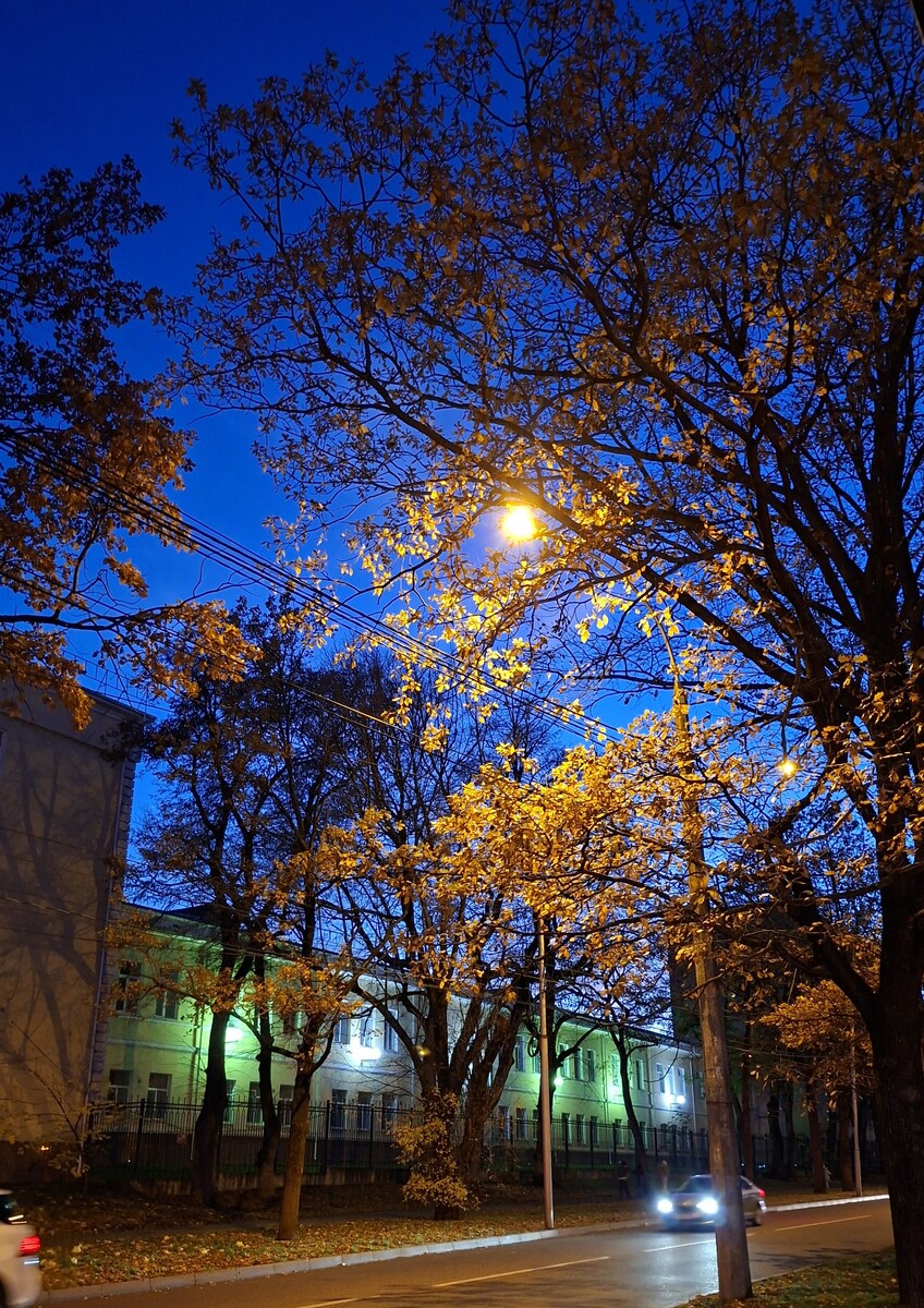 фотография автора