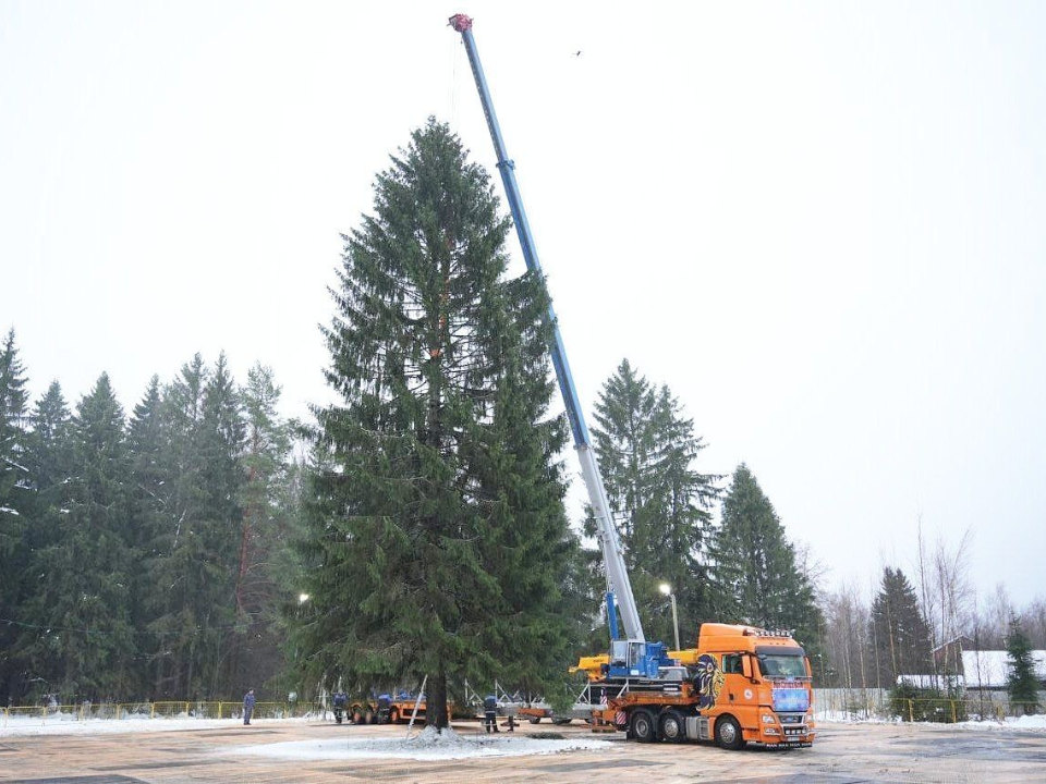    Фото: t.me/Press_MO (архив 2022)