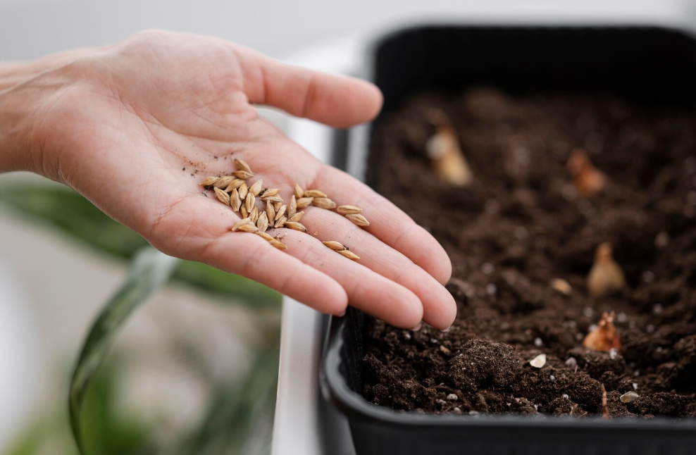 Фото: freepik
Пресс-служба минсельхоза Челябинской области