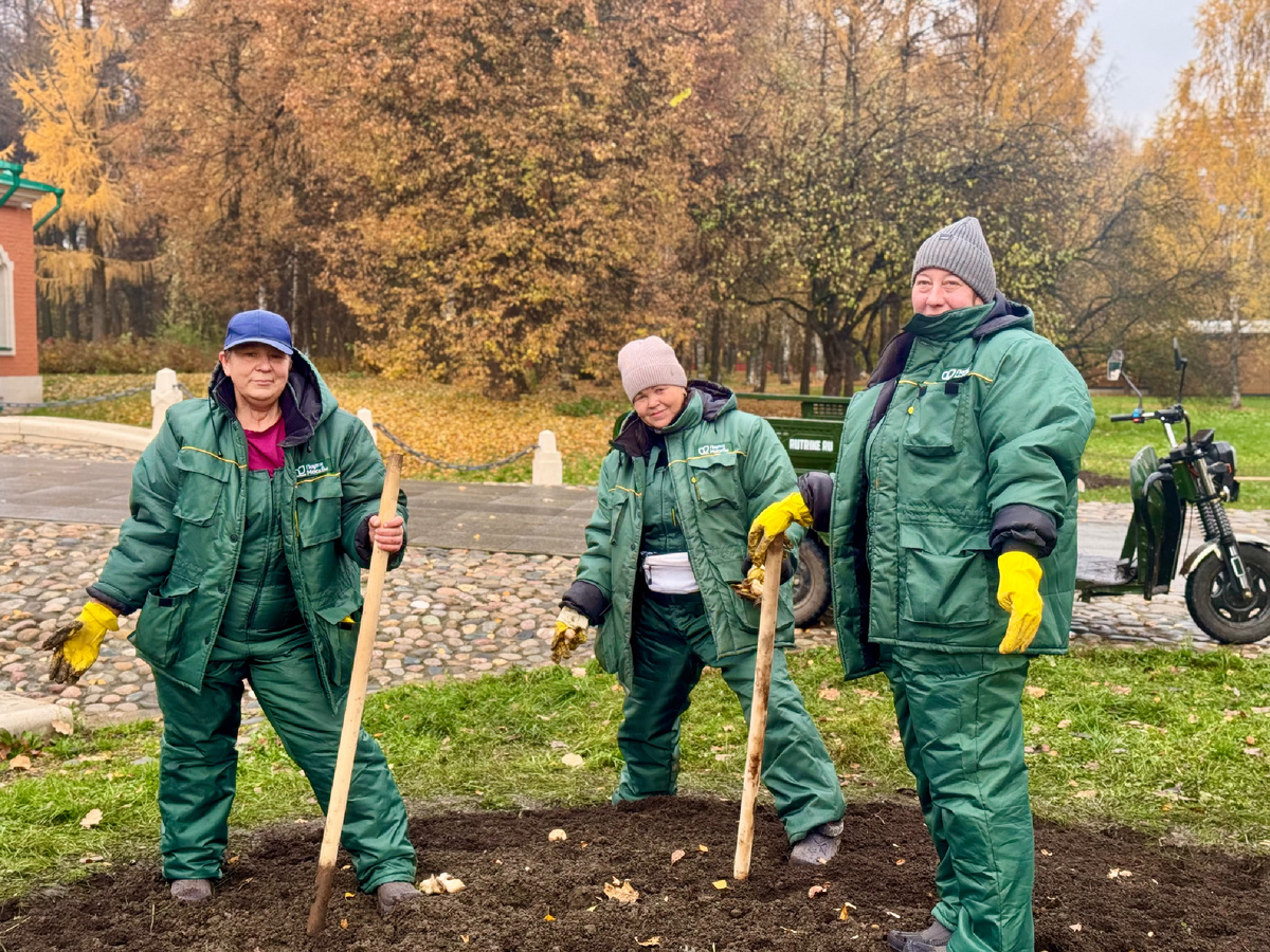 Высадка луковичных растений в Парках Москвы