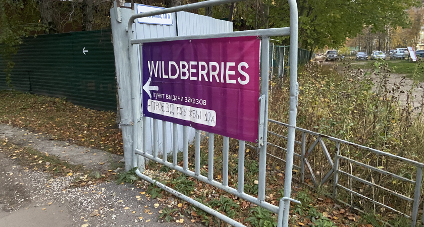    10 крутых товаров для дома с Wildberries, о которых вы могли даже не знать