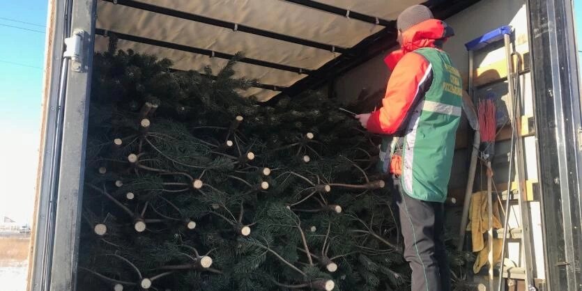 Фото: Уральское межрегиональное управление Россельхознадзора