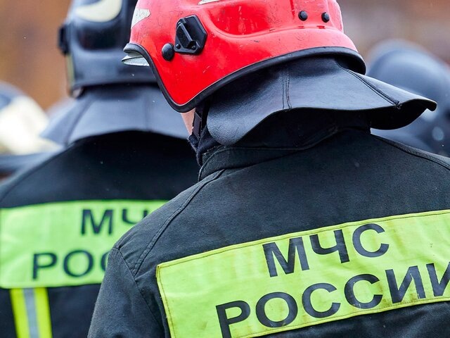    Фото: портал мэра и правительства Москвы/Максим Денисов