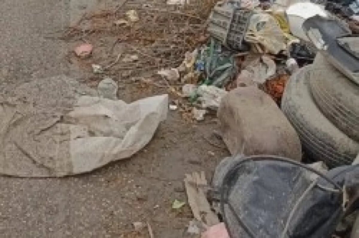    В Октябрьском районе Екатеринбурга ликвидировали 15-тонную свалку