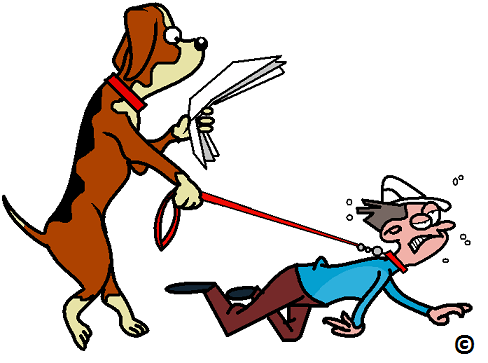 Не понятно, кто кого выгуливает.