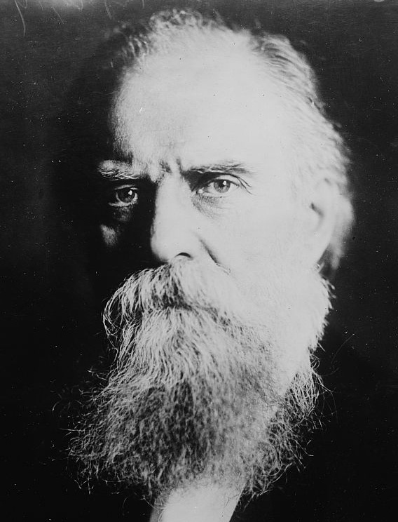 Николай Васильевич Чайковский (1850 — 1926).