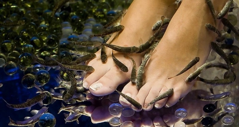 Автор фото: соцсети