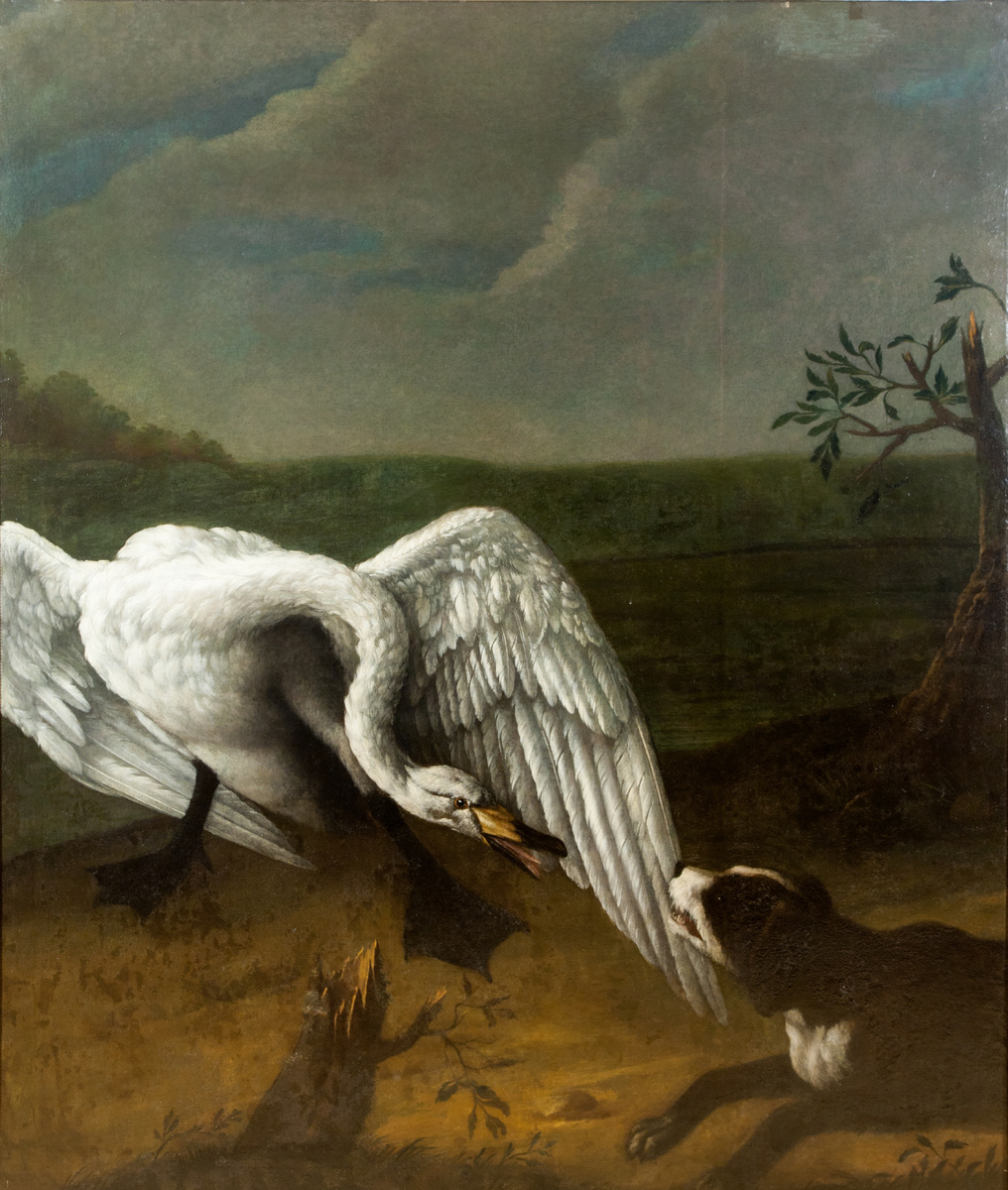 Картина. Лебедь. Гроот И.Ф. Россия. 1752. Холст, масло. Из коллекции ГМЗ «Царское Село»