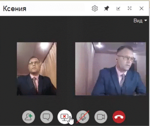 Общение в рамках видеозвонка