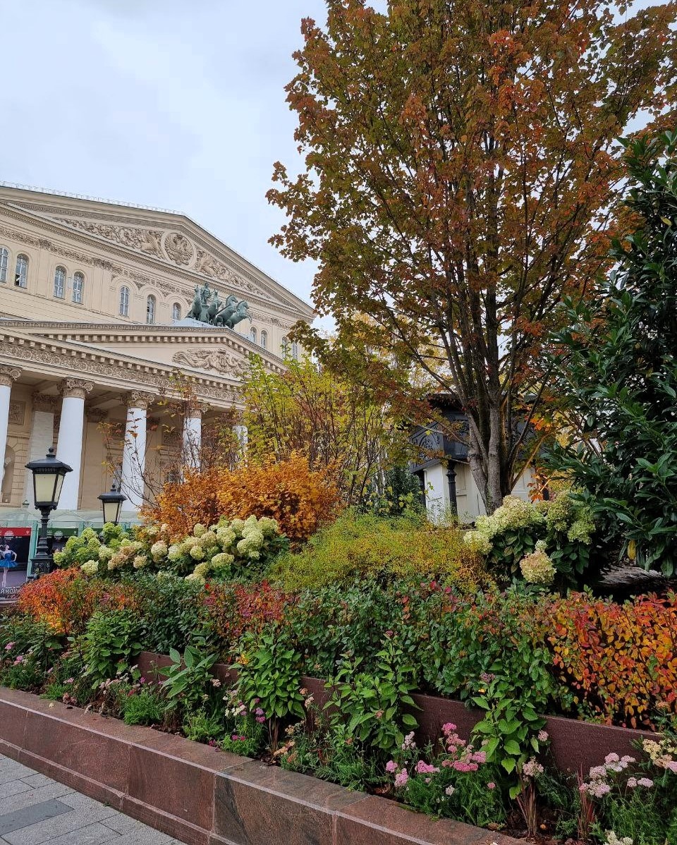 Инсталляция из растений напротив Большого театра.
