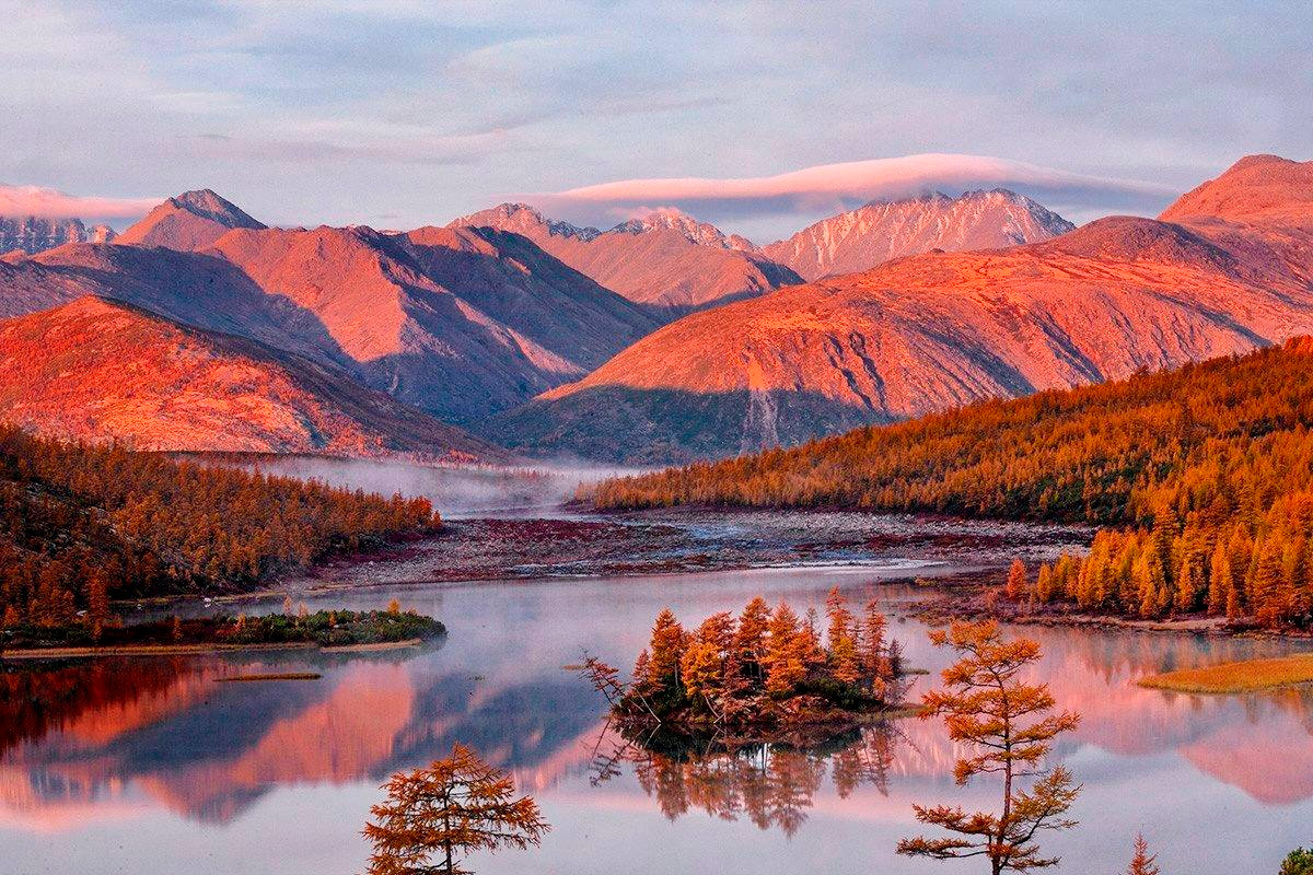    Фото: Телеграм-канал губернатора Магаданской области Сергея Носова