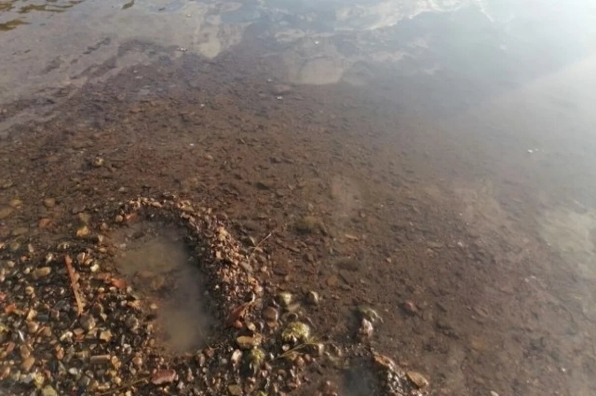    В Орске автомойка находится в 100-метровой водоохранной зоне реки Елшанка.