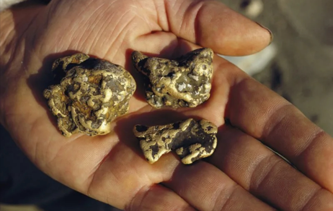 Золото с раскопок на Кудринской площади. Фото из сети