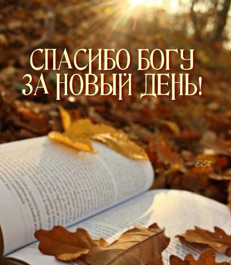 Фото из свободного доступа интернета