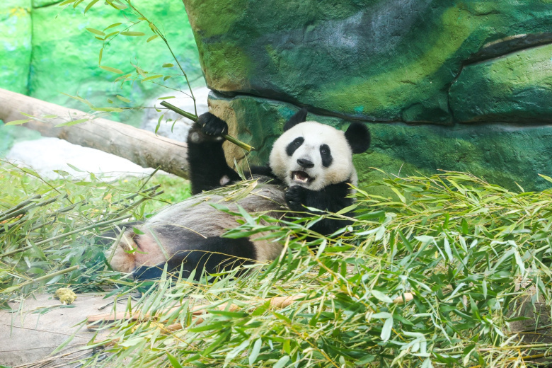    Наталья Шатохина/NEWS.ru