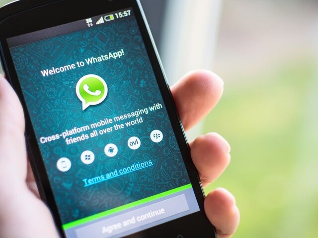    Фото: depositphotos/Mactrunk