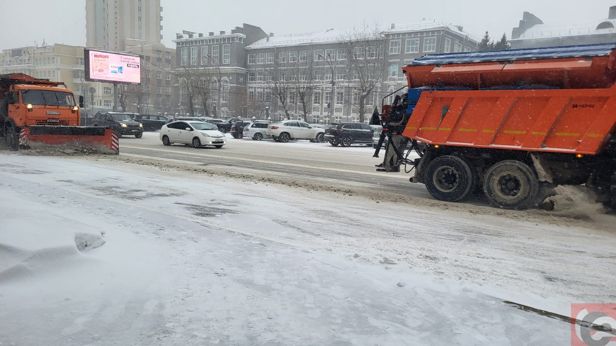    Фото: Прецедент