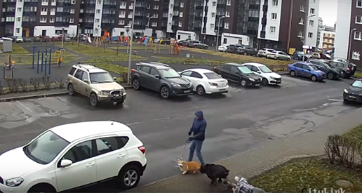    фото: © скрин с видео