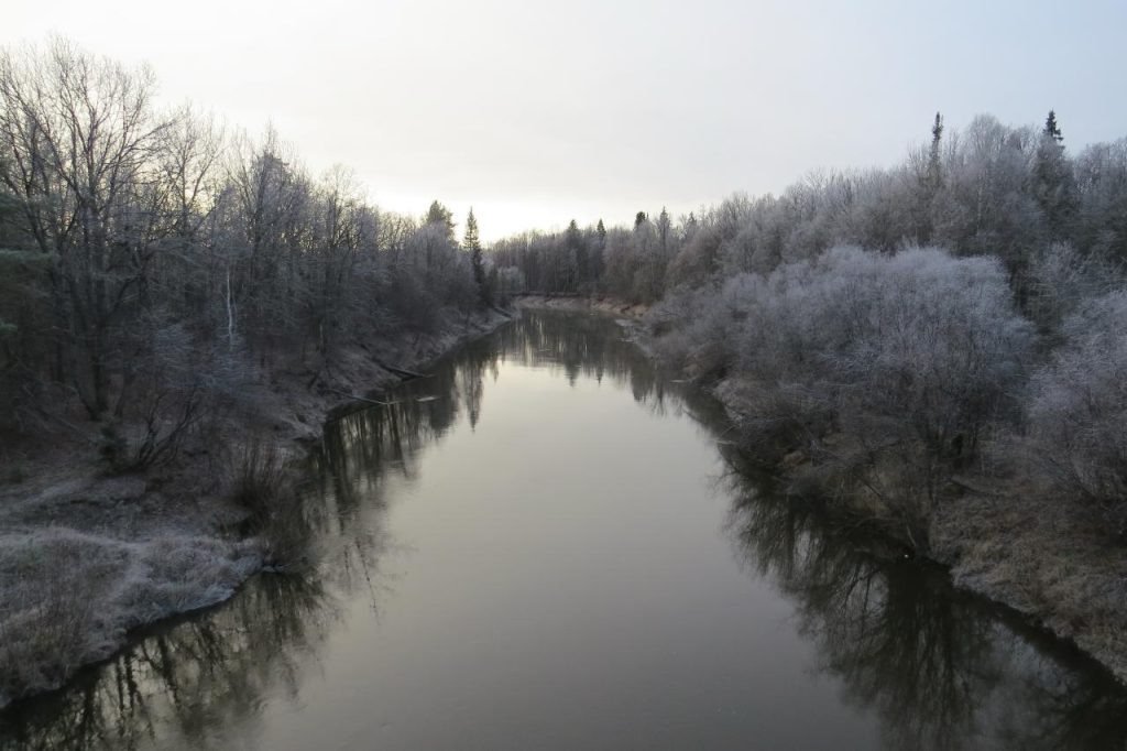    Геннадий Богданов