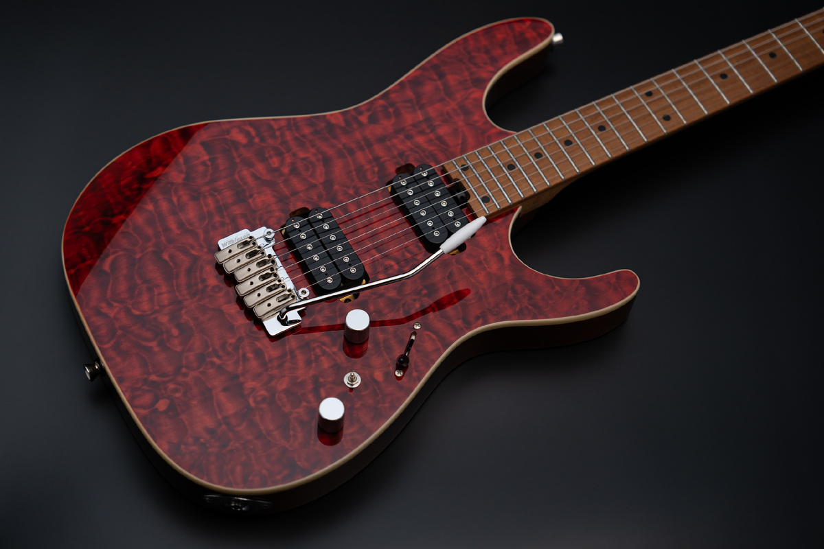 Электрогитара SQOE SEIB810 BS