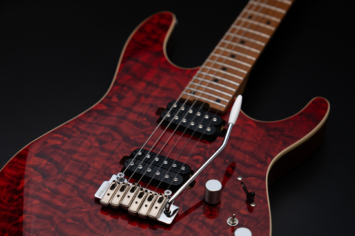 Электрогитара SQOE SEIB810 BS