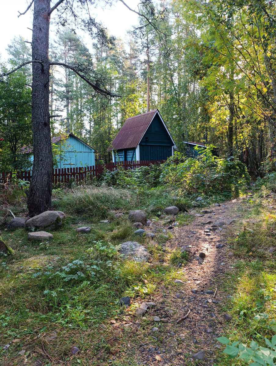 Домики турбазы