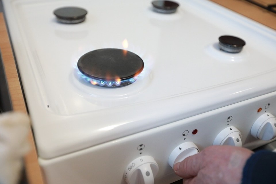    Пушилин заявил, что в Донецке и Макеевке газифицируют более 13 тысяч домов (архивное фото) Мария ЛЕНЦ