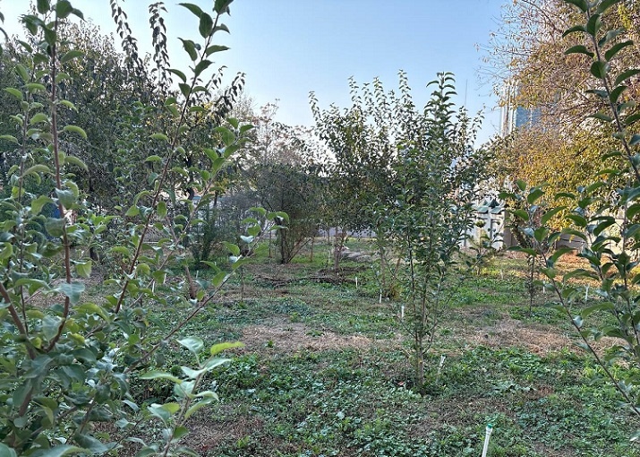 Парк. Фото предоставлено жильцами "Домов специалистов"