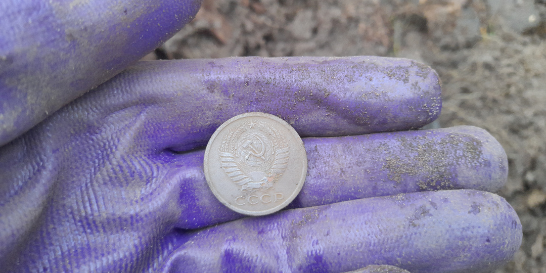 Лесной коп в завершении сезона 2025г.