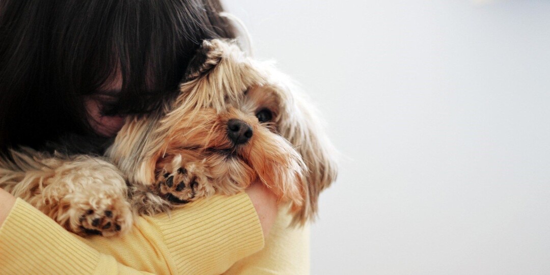 Однажды в аду