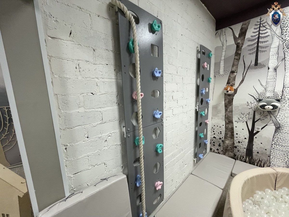 Фото: пресс-служба СУ СКР по Челябинской области