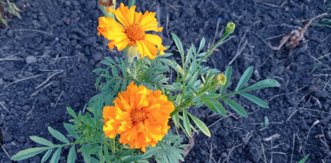 Ноябрь умеет удивлять 