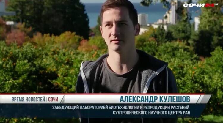    Фото: Сочи24