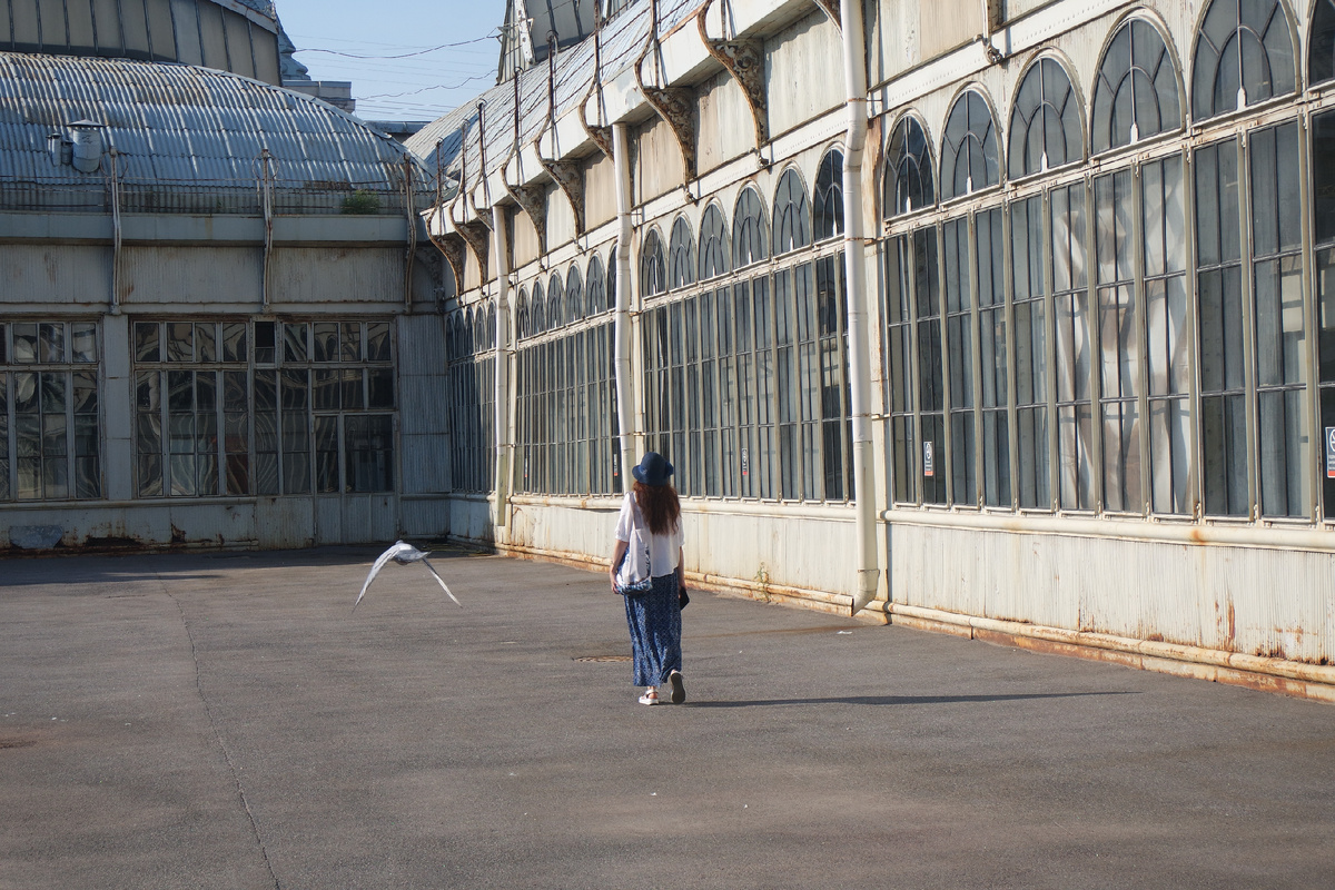 авторица с голубицей уже вернулись в город с воображаемой дачи в Паловске:)