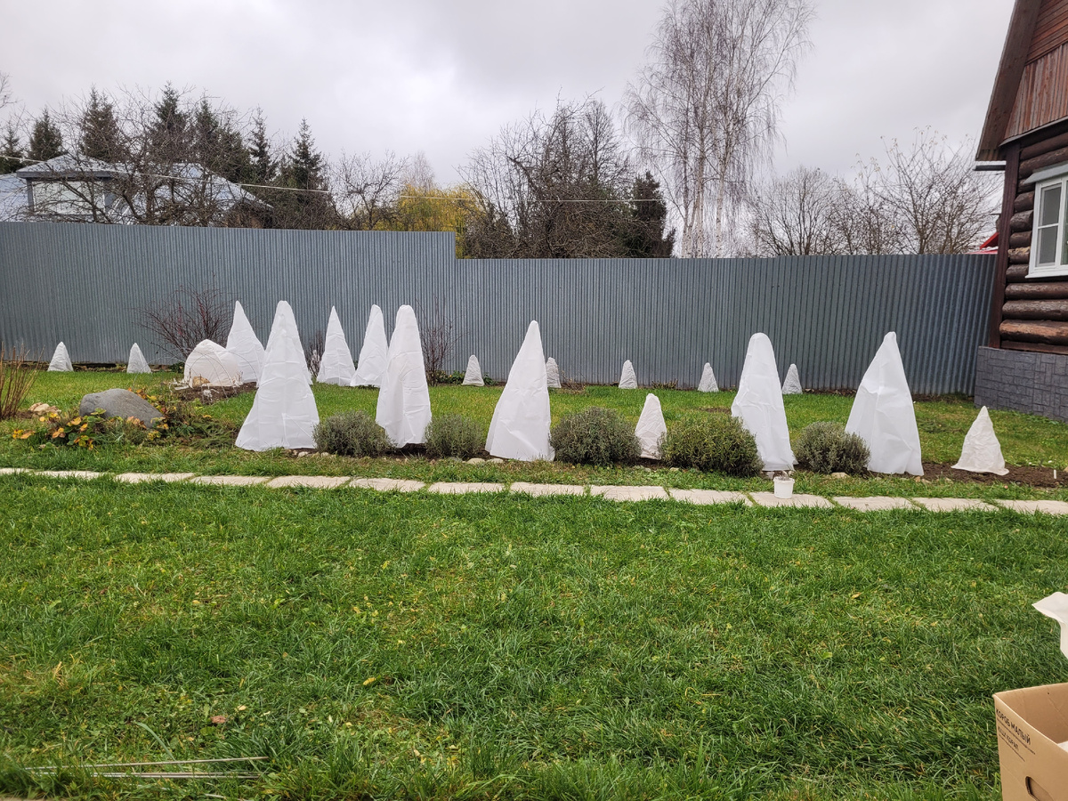 11 ноября 2025г.