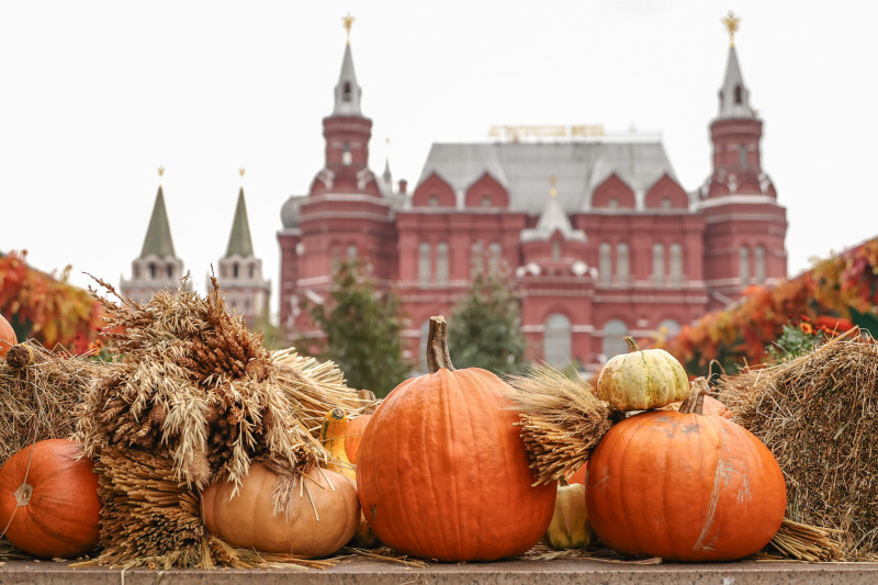    Фото: Roman Naumov/URA.RU/GlobalLookPress