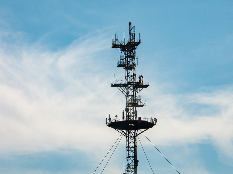     Фото: Svetlana Vozmilova/Global Look Press