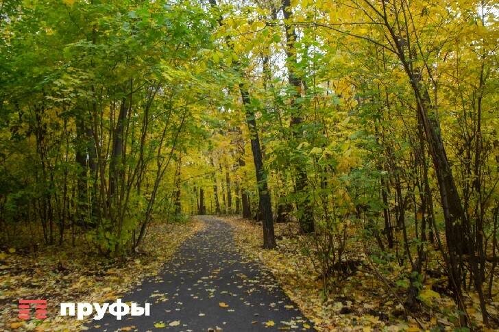    Фото: Пруфы